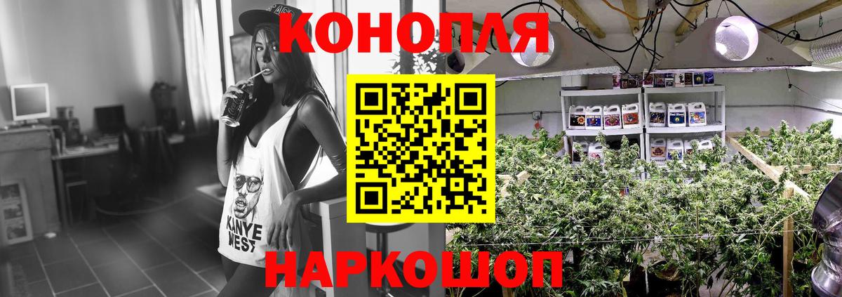 Бошки марихуана LSD WEED Моздок